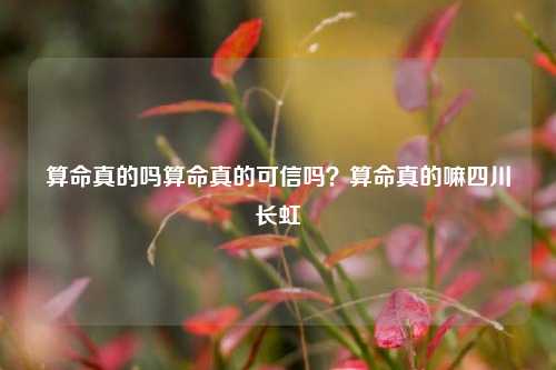 算命真的吗算命真的可信吗？算命真的嘛四川长虹