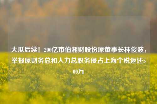 大瓜后续！200亿市值湘财股份原董事长林俊波，举报原财务总和人力总职务侵占上海个税返还500万