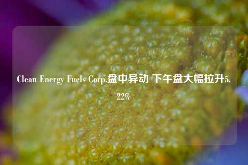 Clean Energy Fuels Corp.盘中异动 下午盘大幅拉升5.22%