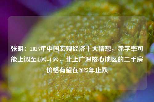 张明：2025年中国宏观经济十大猜想，赤字率可能上调至4.0%-4.5%，北上广深核心地区的二手房价格有望在2025年止跌