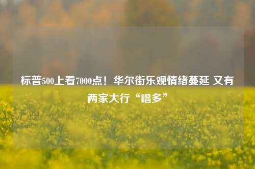 标普500上看7000点！华尔街乐观情绪蔓延 又有两家大行“唱多”