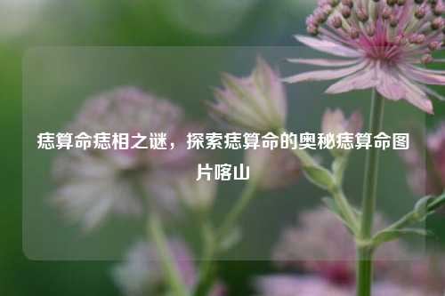 痣算命痣相之谜，探索痣算命的奥秘痣算命图片喀山