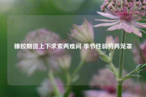 橡胶期货上下求索两难间 季节性弱势再笼罩