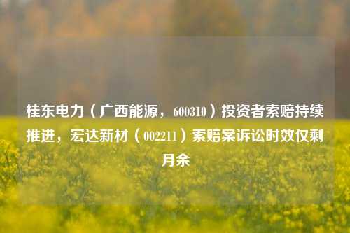 桂东电力（广西能源，600310）投资者索赔持续推进，宏达新材（002211）索赔案诉讼时效仅剩月余