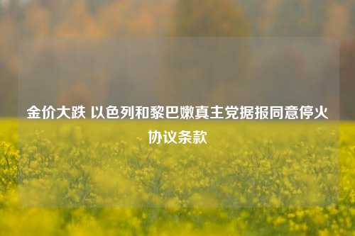 金价大跌 以色列和黎巴嫩真主党据报同意停火协议条款