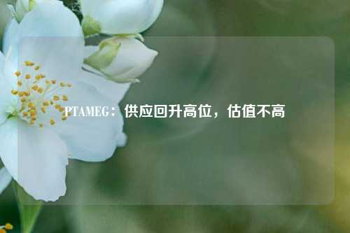 PTAMEG：供应回升高位，估值不高