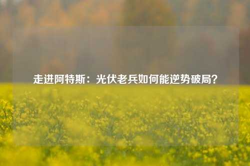 走进阿特斯：光伏老兵如何能逆势破局？