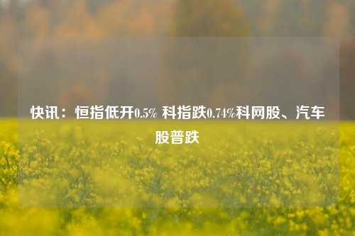 快讯：恒指低开0.5% 科指跌0.74%科网股、汽车股普跌