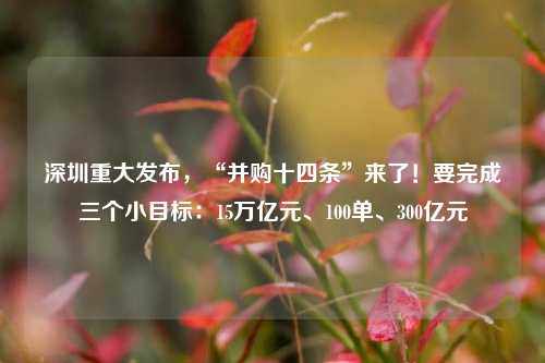 深圳重大发布，“并购十四条”来了！要完成三个小目标：15万亿元、100单、300亿元