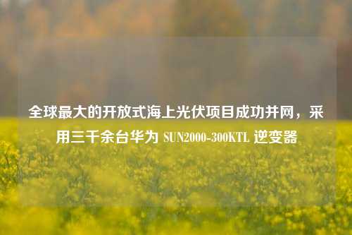 全球最大的开放式海上光伏项目成功并网，采用三千余台华为 SUN2000-300KTL 逆变器