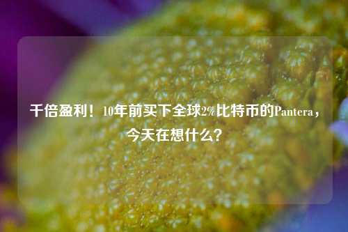 千倍盈利！10年前买下全球2%比特币的Pantera，今天在想什么？