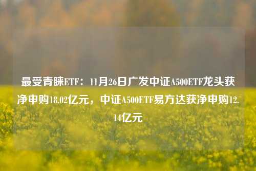 最受青睐ETF：11月26日广发中证A500ETF龙头获净申购18.02亿元，中证A500ETF易方达获净申购12.14亿元