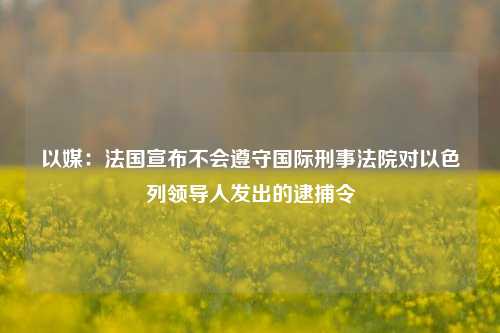 以媒：法国宣布不会遵守国际刑事法院对以色列领导人发出的逮捕令