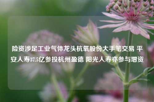 险资涉足工业气体龙头杭氧股份大手笔交易 平安人寿37.5亿参投杭州盈德 阳光人寿亦参与增资