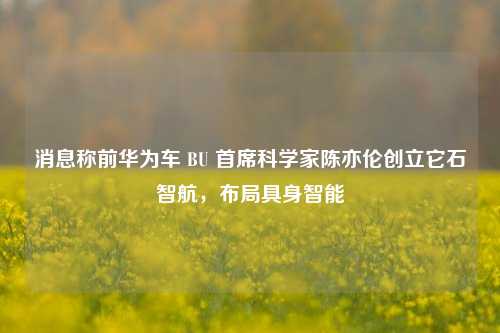 消息称前华为车 BU 首席科学家陈亦伦创立它石智航，布局具身智能