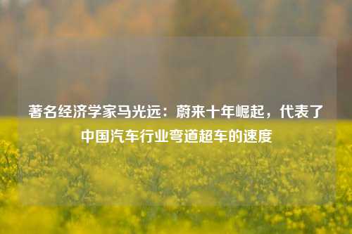 著名经济学家马光远：蔚来十年崛起，代表了中国汽车行业弯道超车的速度