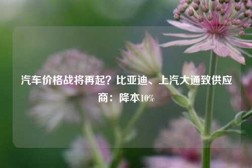 汽车价格战将再起？比亚迪、上汽大通致供应商：降本10%