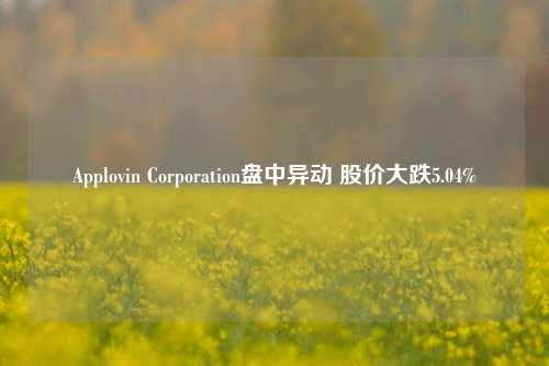 Applovin Corporation盘中异动 股价大跌5.04%