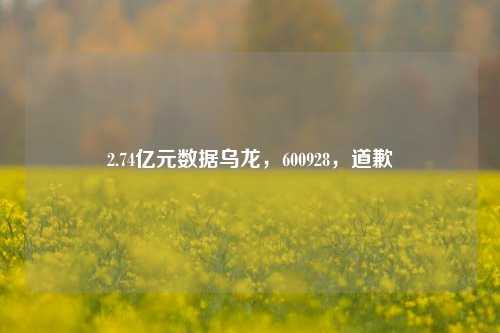 2.74亿元数据乌龙，600928，道歉