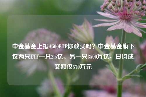 中金基金上报A500ETF你敢买吗？中金基金旗下仅两只ETF一只2.5亿、另一只3500万亿，日均成交额仅570万元