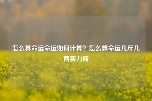 怎么算命运命运如何计算？怎么算命运几斤几两赛力斯