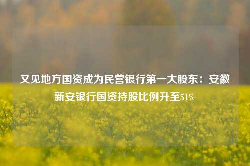 又见地方国资成为民营银行第一大股东：安徽新安银行国资持股比例升至51%