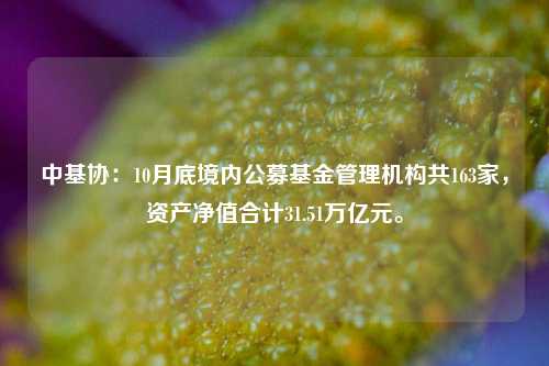 中基协：10月底境内公募基金管理机构共163家，资产净值合计31.51万亿元。