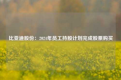 比亚迪股份：2024年员工持股计划完成股票购买