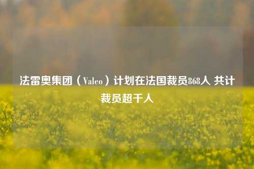 法雷奥集团（Valeo）计划在法国裁员868人 共计裁员超千人