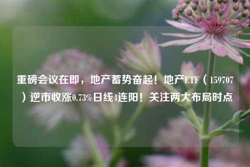 重磅会议在即，地产蓄势奋起！地产ETF（159707）逆市收涨0.73%日线4连阳！关注两大布局时点