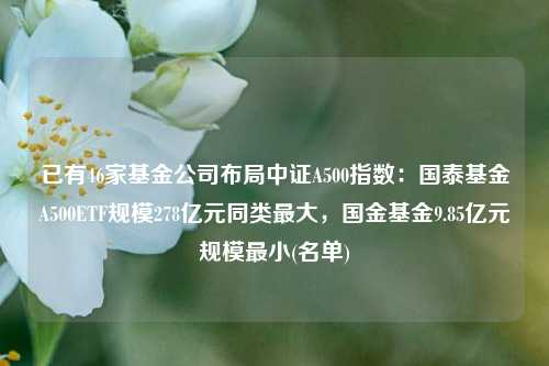 已有46家基金公司布局中证A500指数：国泰基金A500ETF规模278亿元同类最大，国金基金9.85亿元规模最小(名单)