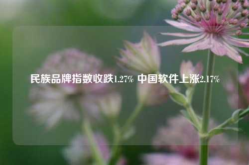 民族品牌指数收跌1.27% 中国软件上涨2.17%