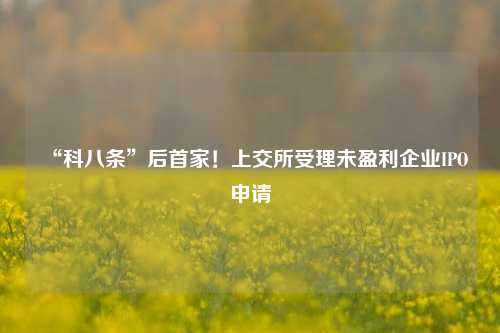 “科八条”后首家！上交所受理未盈利企业IPO申请