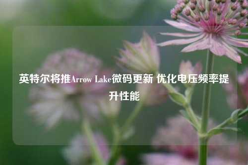 英特尔将推Arrow Lake微码更新 优化电压频率提升性能