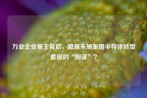 万业企业易主背后，隐现朱旭东借半导体转型套现的“阳谋”？