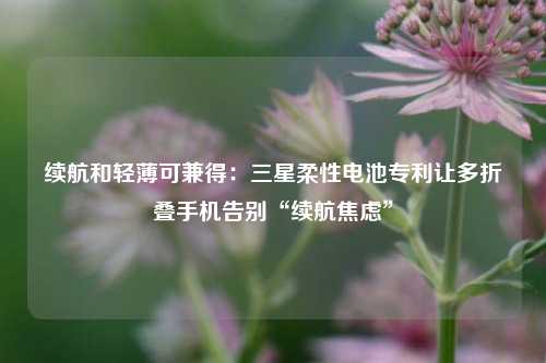 续航和轻薄可兼得：三星柔性电池专利让多折叠手机告别“续航焦虑”