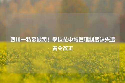 四川一私募被罚！攀枝花中城管理制度缺失遭责令改正