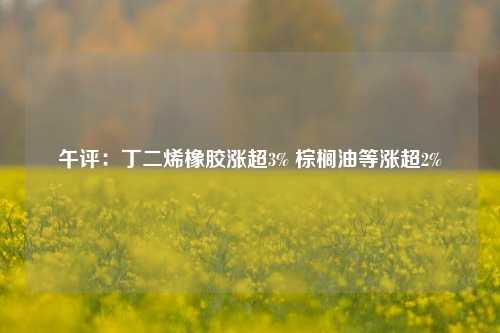 午评：丁二烯橡胶涨超3% 棕榈油等涨超2%