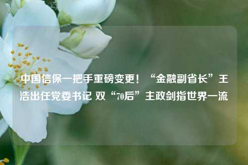 中国信保一把手重磅变更！“金融副省长”王浩出任党委书记 双“70后”主政剑指世界一流