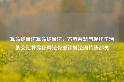 算命称骨法算命称骨法，古老智慧与现代生活的交汇算命称骨法骨重计算法图片陈都灵