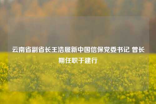 云南省副省长王浩履新中国信保党委书记 曾长期任职于建行