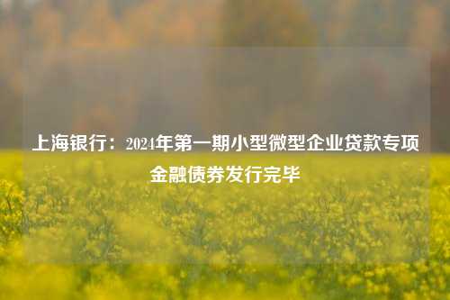 上海银行：2024年第一期小型微型企业贷款专项金融债券发行完毕