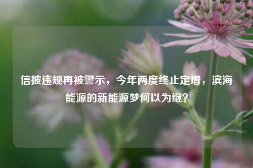 信披违规再被警示，今年两度终止定增，滨海能源的新能源梦何以为继？