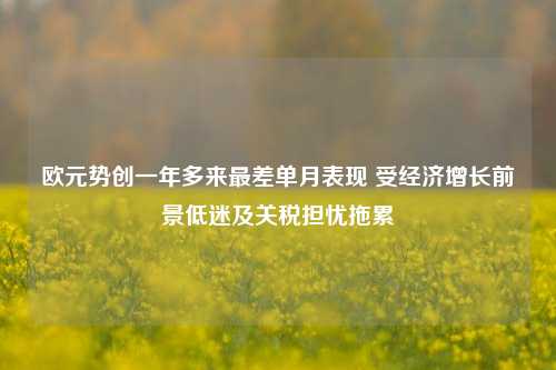 欧元势创一年多来最差单月表现 受经济增长前景低迷及关税担忧拖累