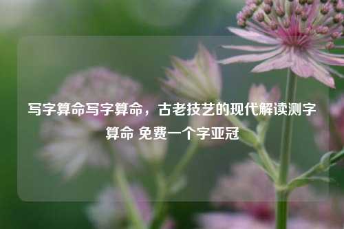 写字算命写字算命，古老技艺的现代解读测字算命 免费一个字亚冠