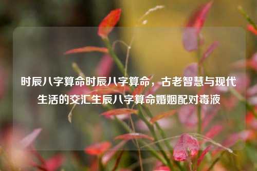 时辰八字算命时辰八字算命，古老智慧与现代生活的交汇生辰八字算命婚姻配对毒液