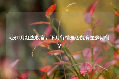 A股11月红盘收官，下月行情是否能有更多期待？