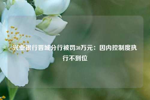 兴业银行晋城分行被罚30万元：因内控制度执行不到位