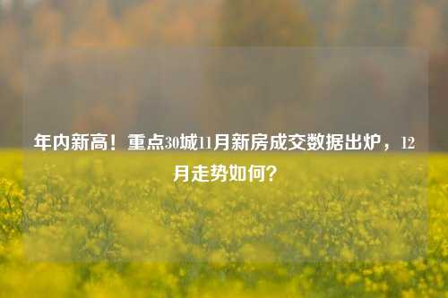 年内新高！重点30城11月新房成交数据出炉，12月走势如何？