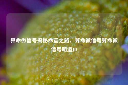 算命微信号揭秘命运之路，算命微信号算命微信号明道JD